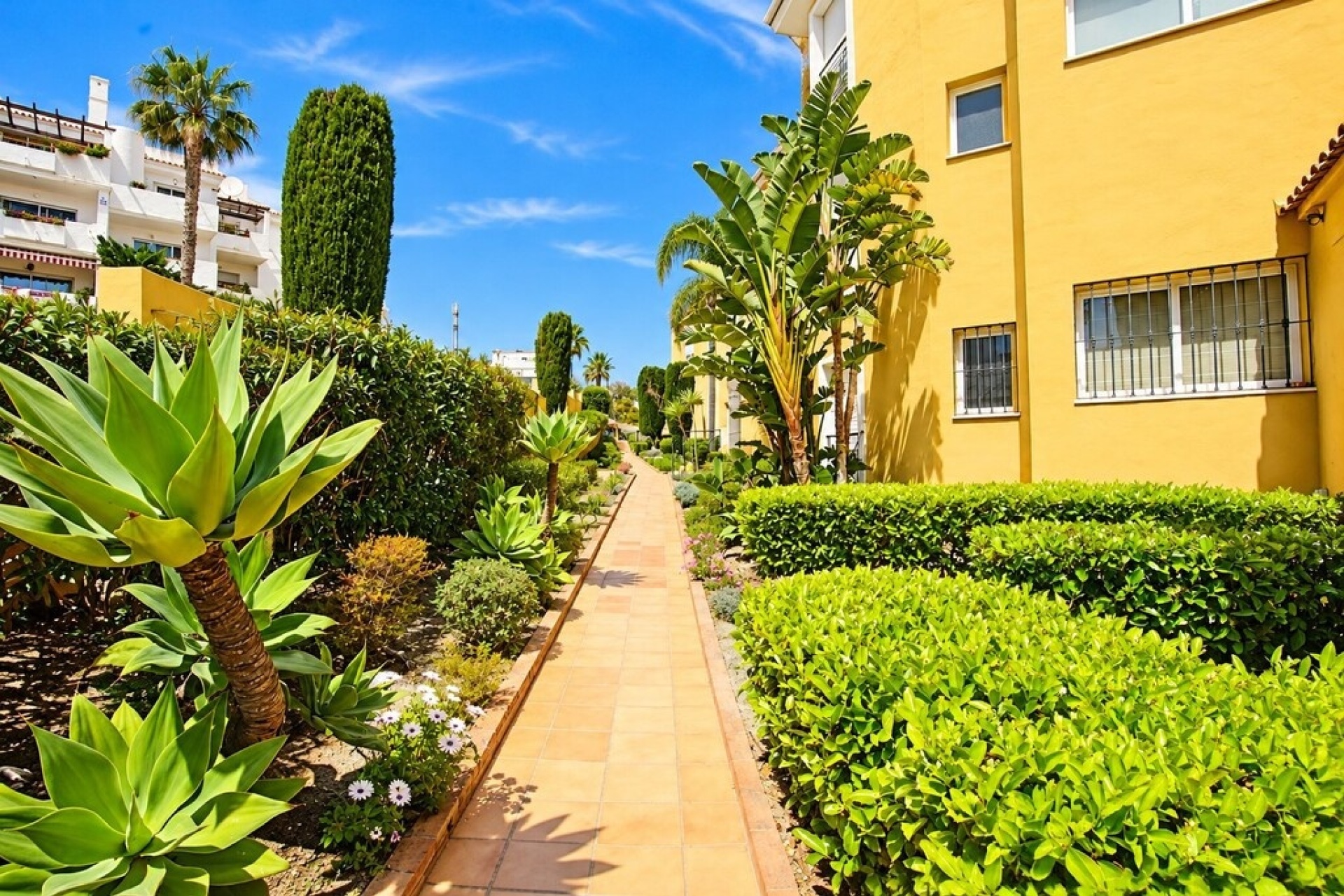 Wiederverkauf - apartment - Estepona - Bel Air