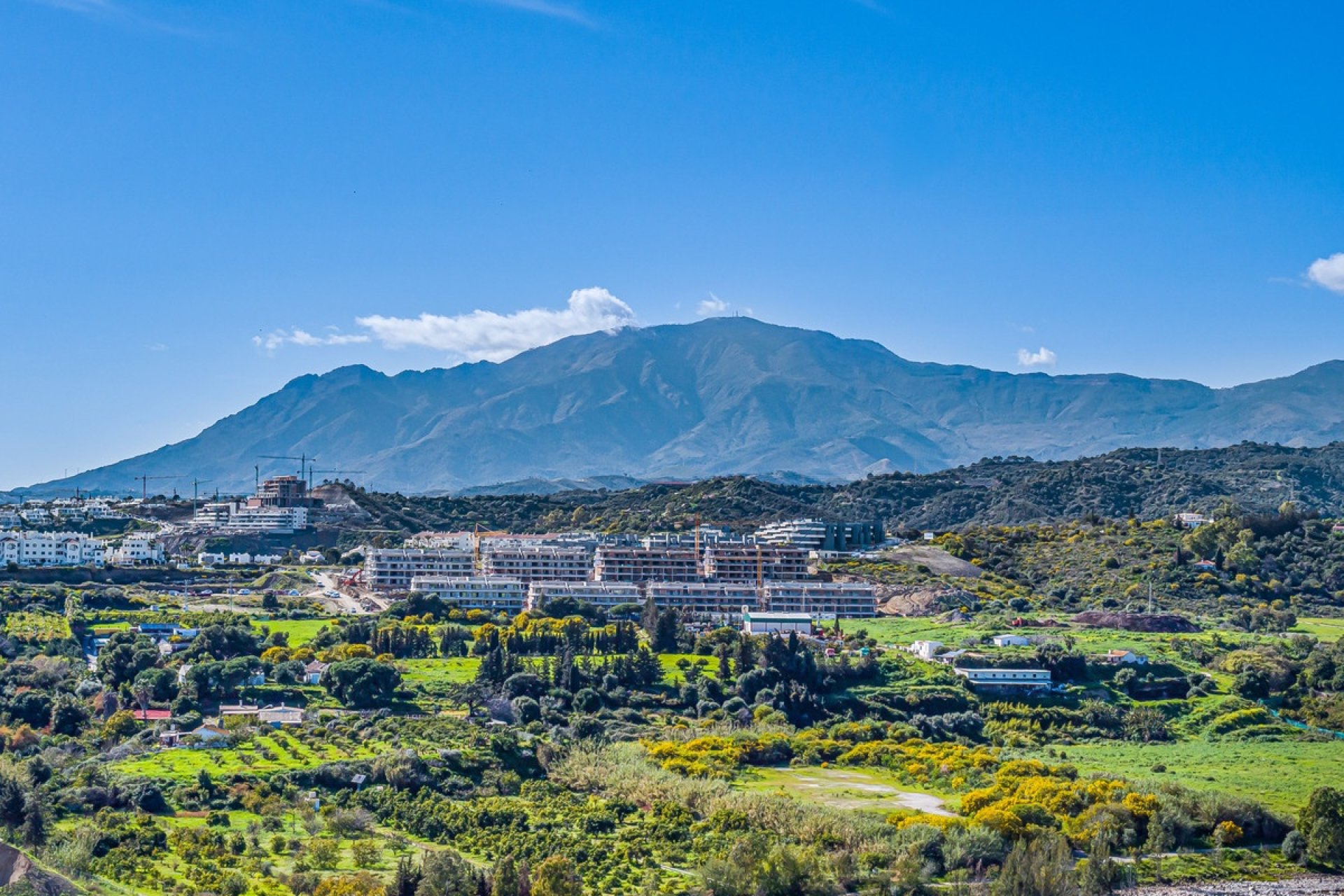 Wiederverkauf - apartment - Estepona - Cancelada
