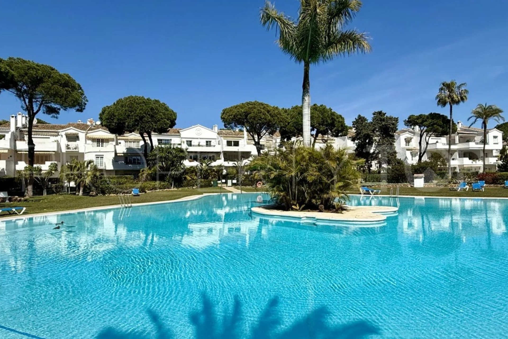Wiederverkauf - apartment - Estepona - El Presidente