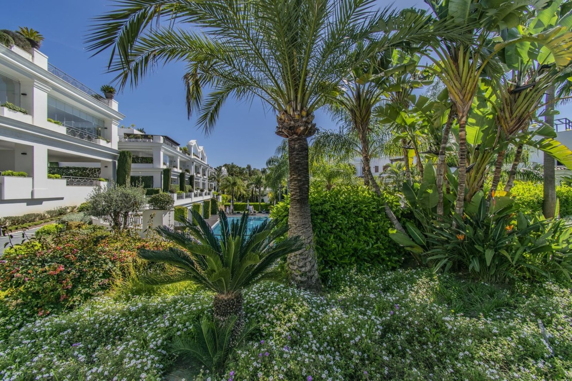 Wiederverkauf - apartment - Estepona - Estepona Centro
