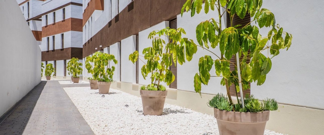 Wiederverkauf - apartment - Estepona - Estepona Centro