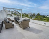 Wiederverkauf - apartment - Estepona - Estepona Centro