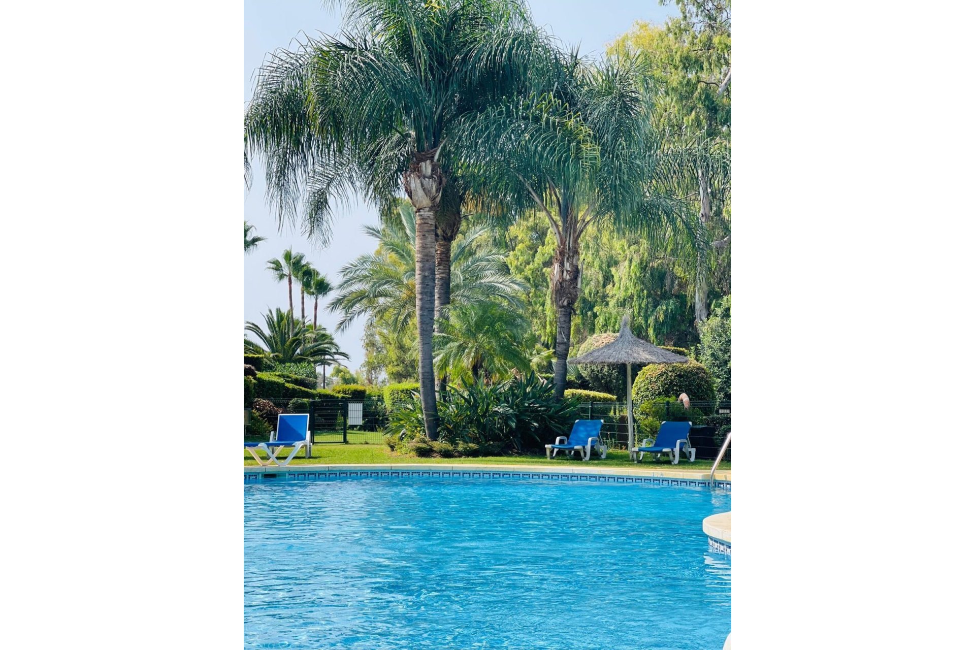 Wiederverkauf - apartment - Estepona - Estepona Centro