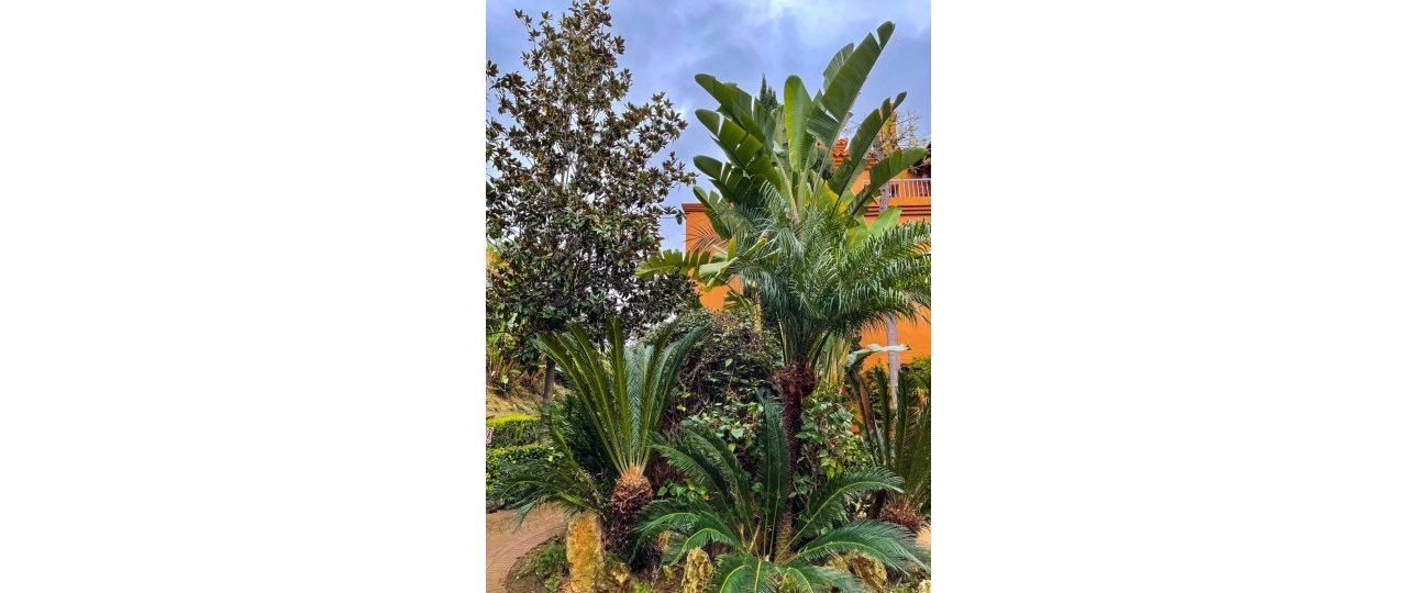 Wiederverkauf - apartment - Estepona - Estepona Centro