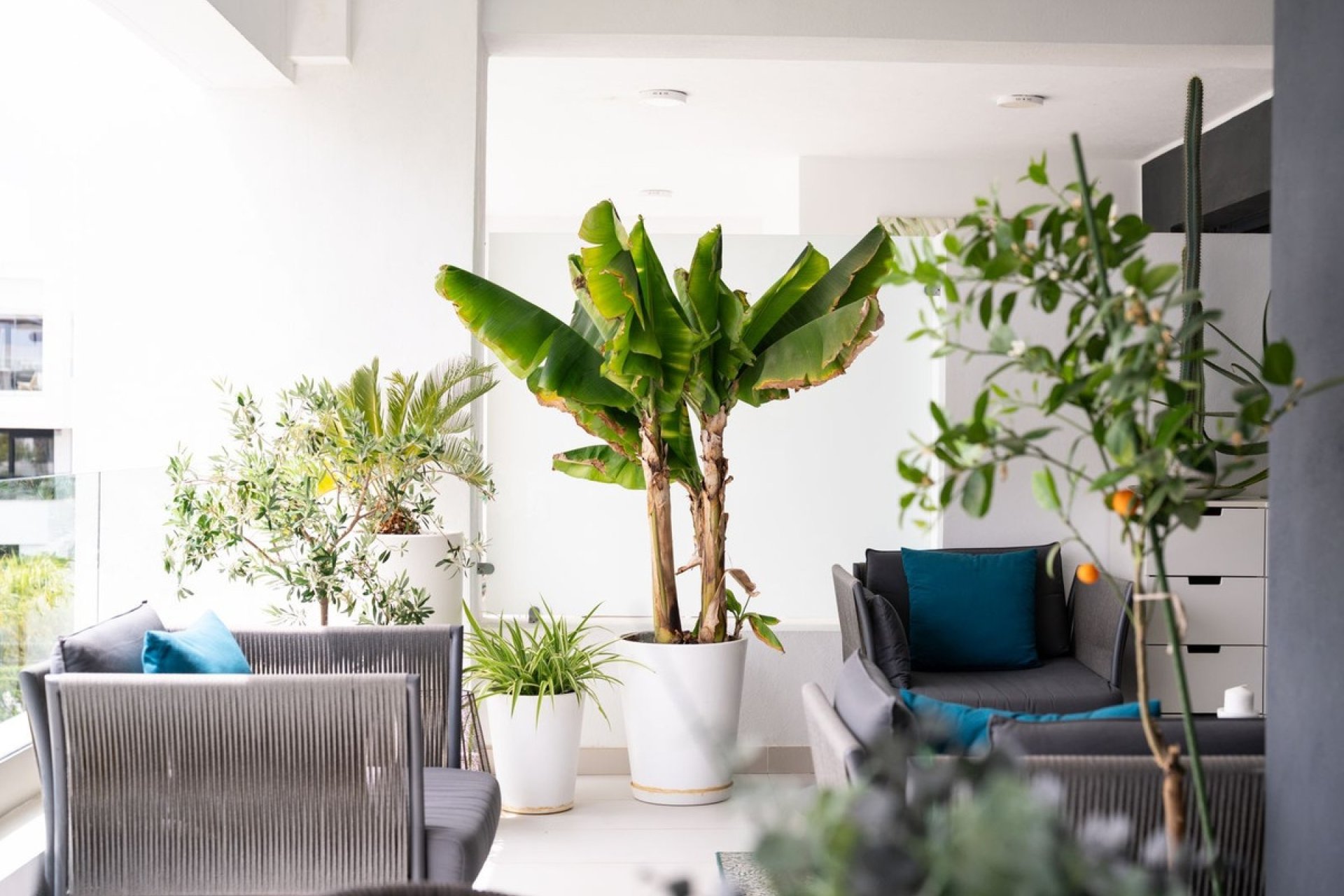 Wiederverkauf - apartment - Estepona - Estepona Centro