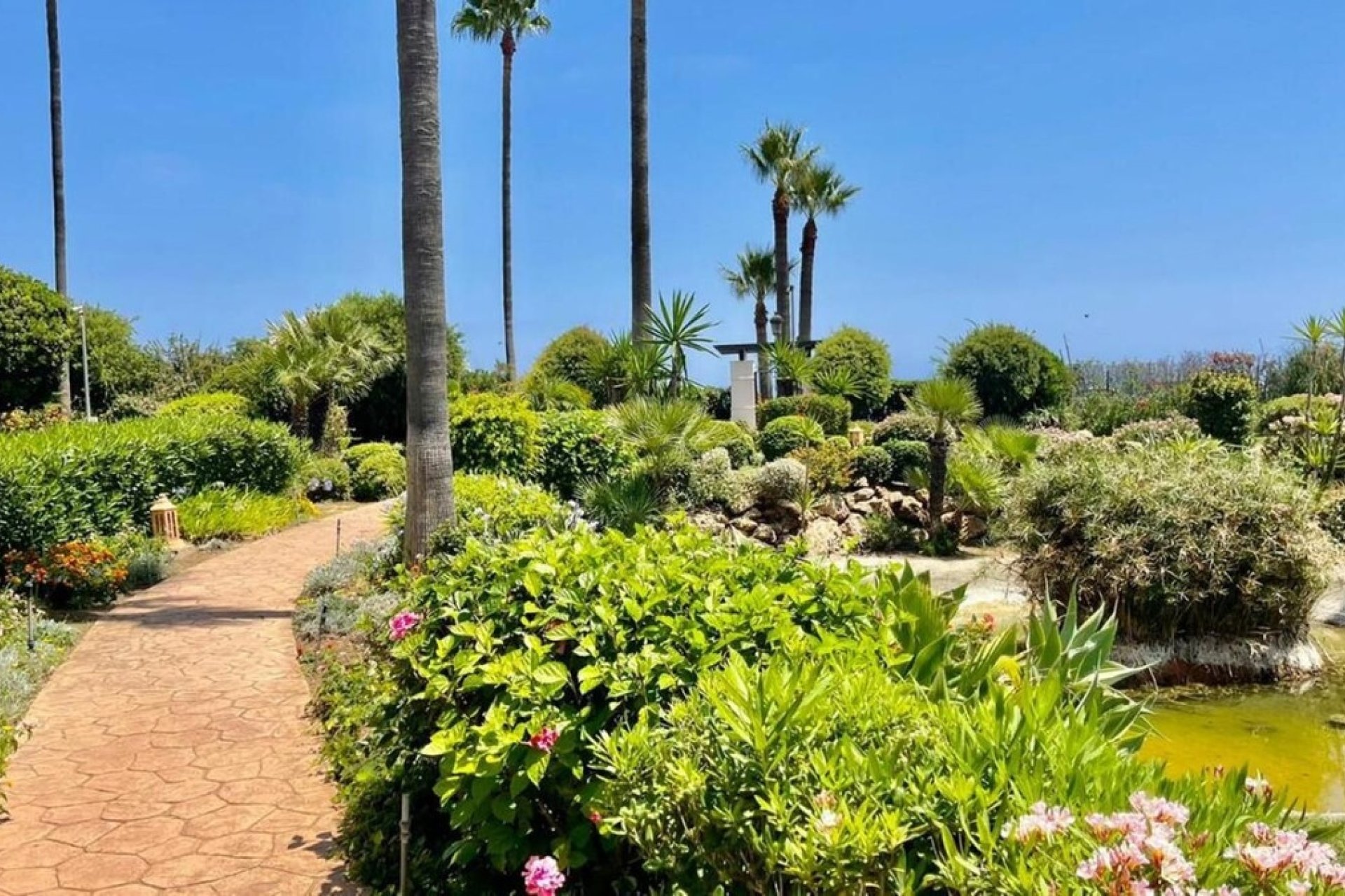 Wiederverkauf - apartment - Estepona - Estepona Centro