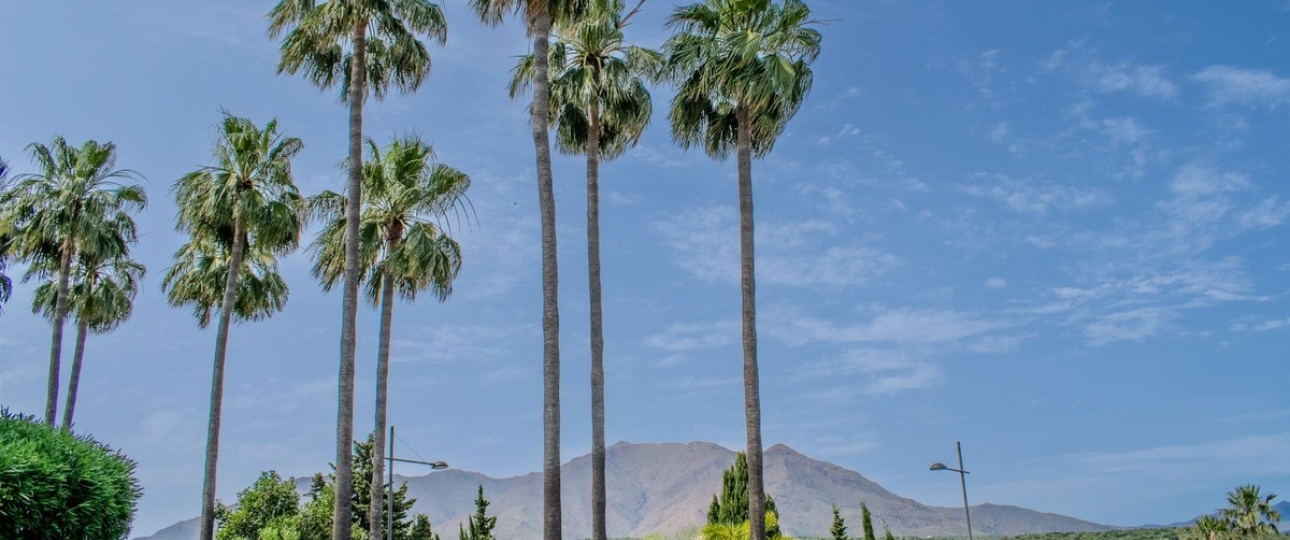 Wiederverkauf - apartment - Estepona - Estepona Centro