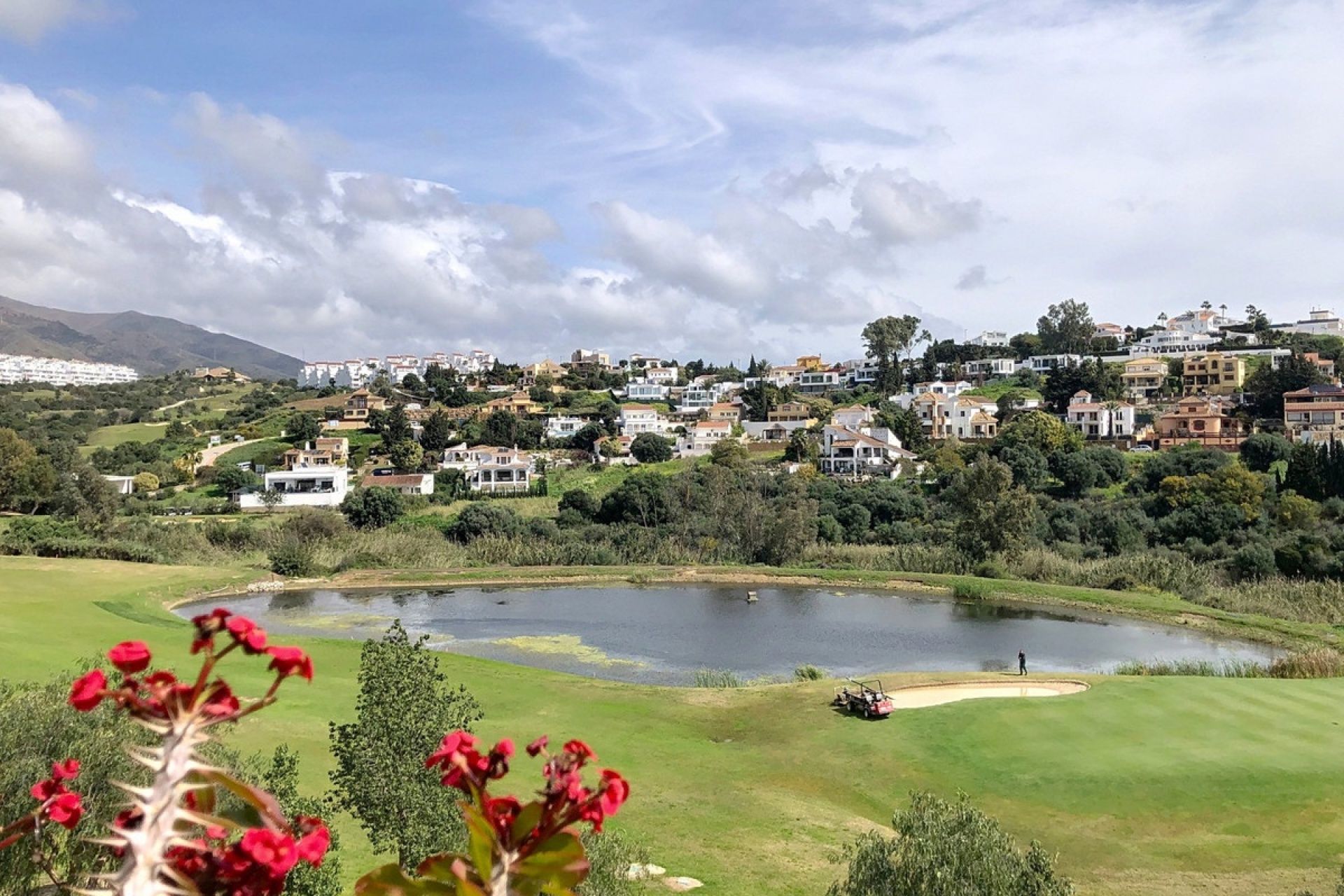 Wiederverkauf - apartment - Estepona - Estepona Centro