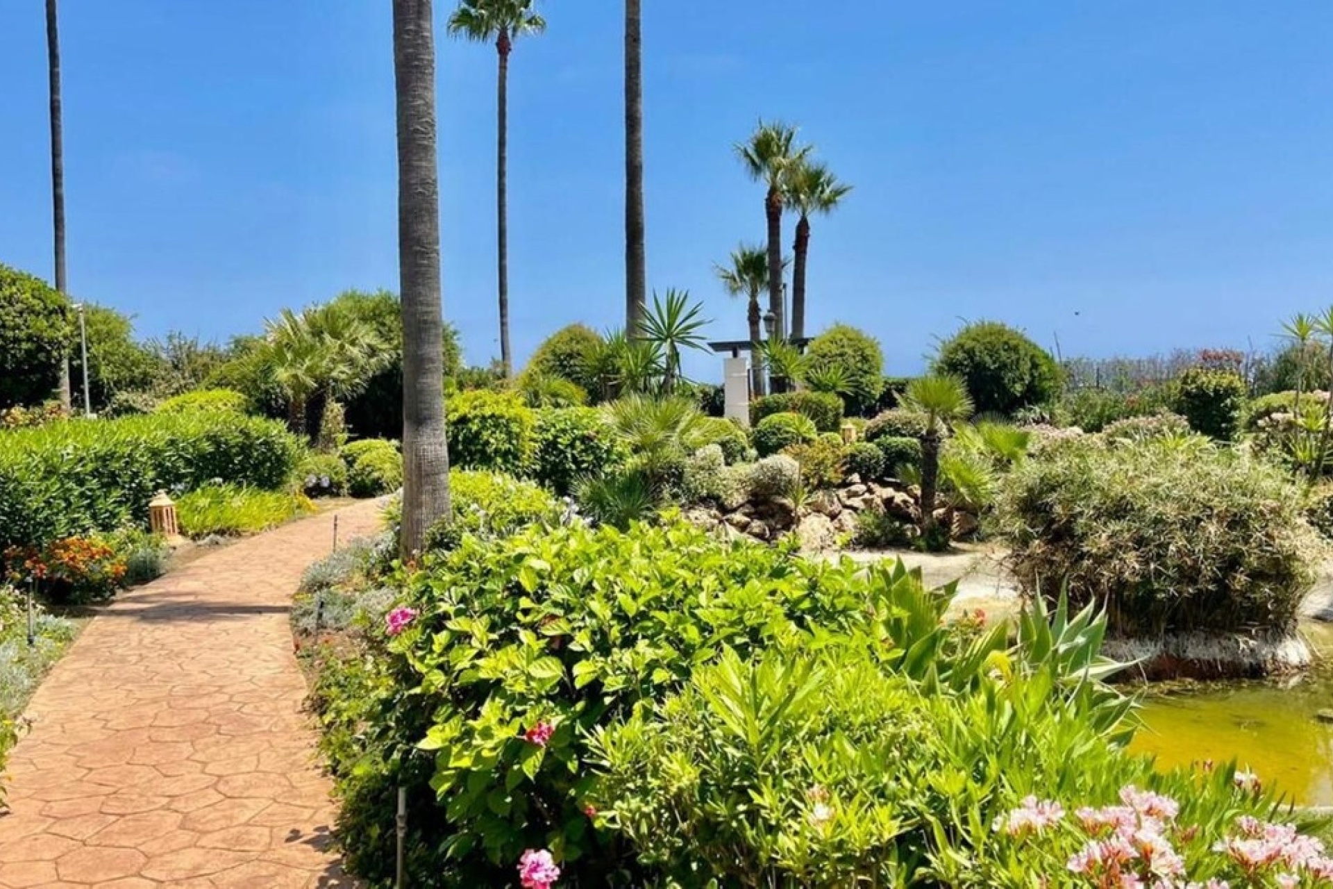 Wiederverkauf - apartment - Estepona - Estepona Centro