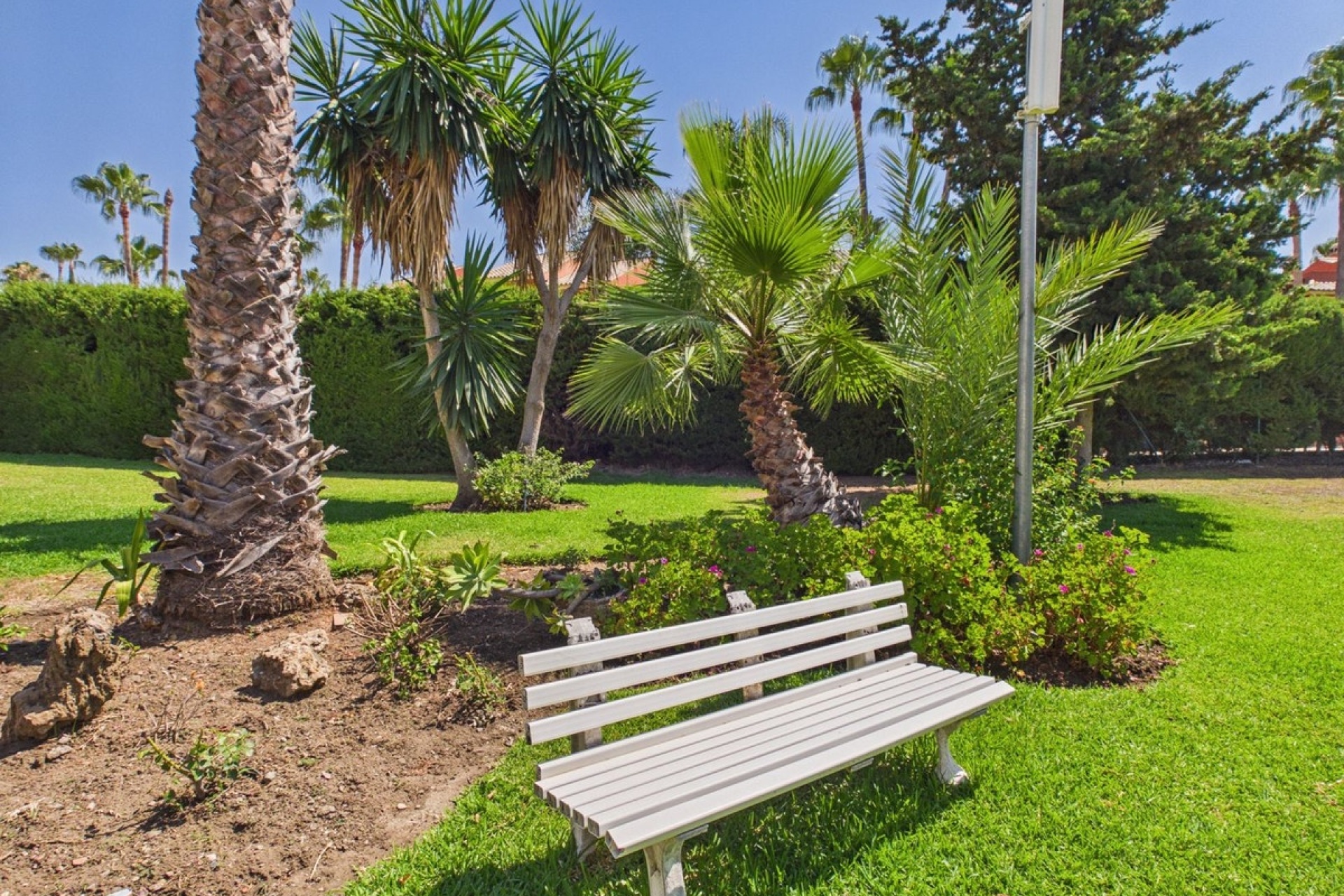 Wiederverkauf - apartment - Estepona - Estepona Centro