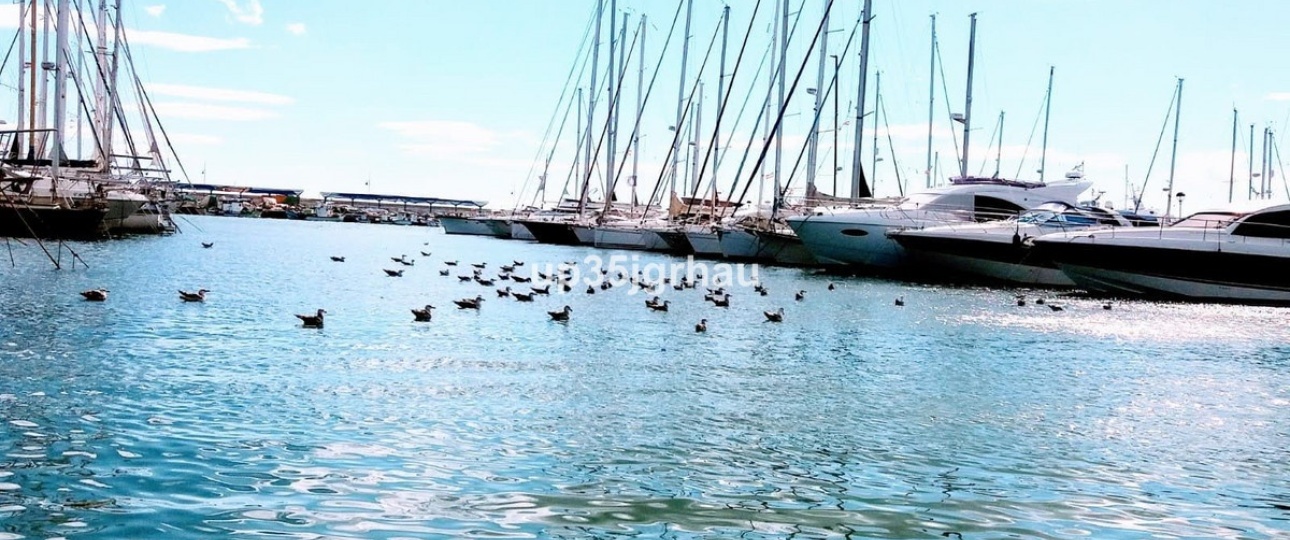Wiederverkauf - apartment - Estepona - Estepona Centro