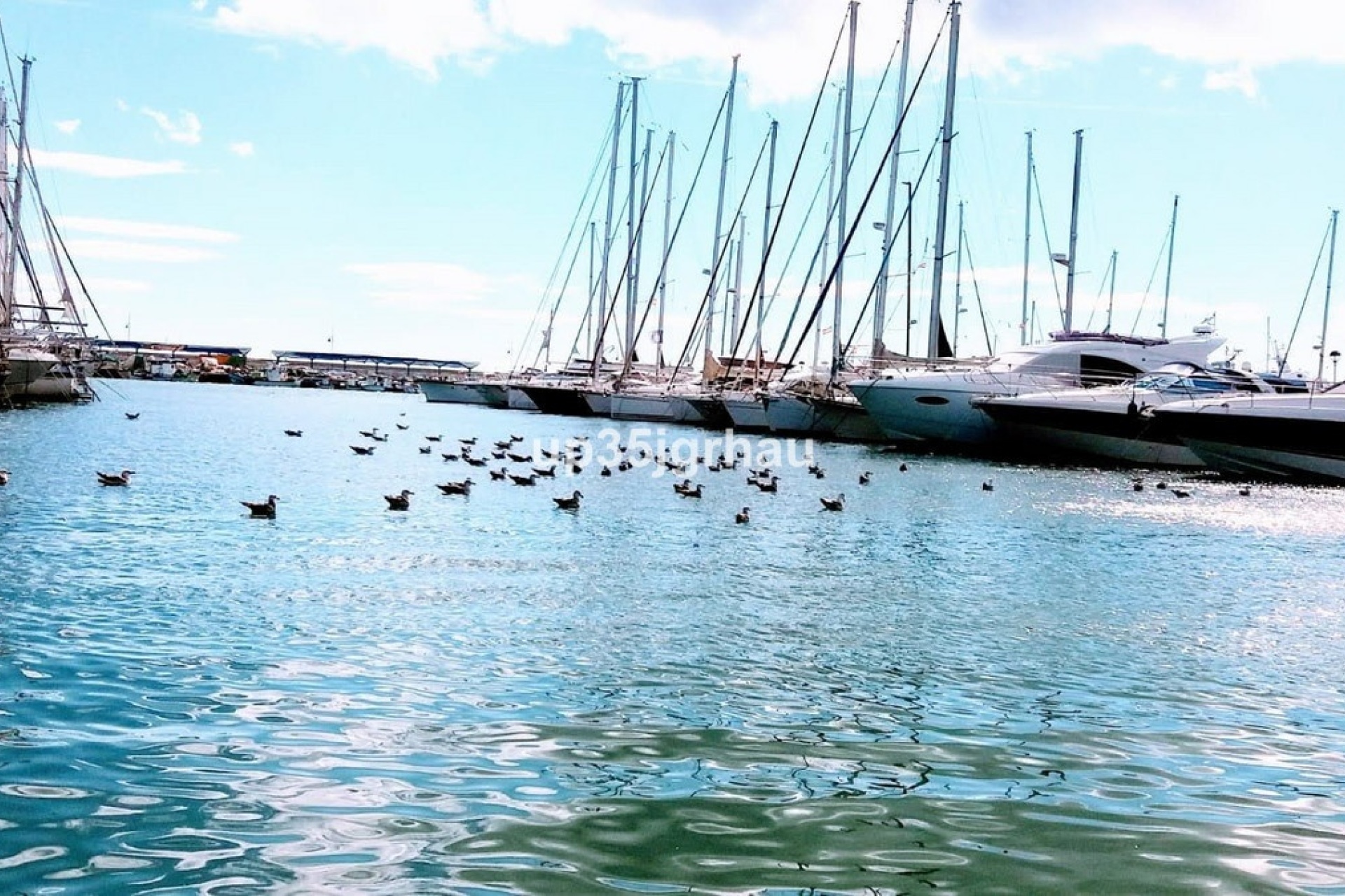Wiederverkauf - apartment - Estepona - Estepona Centro