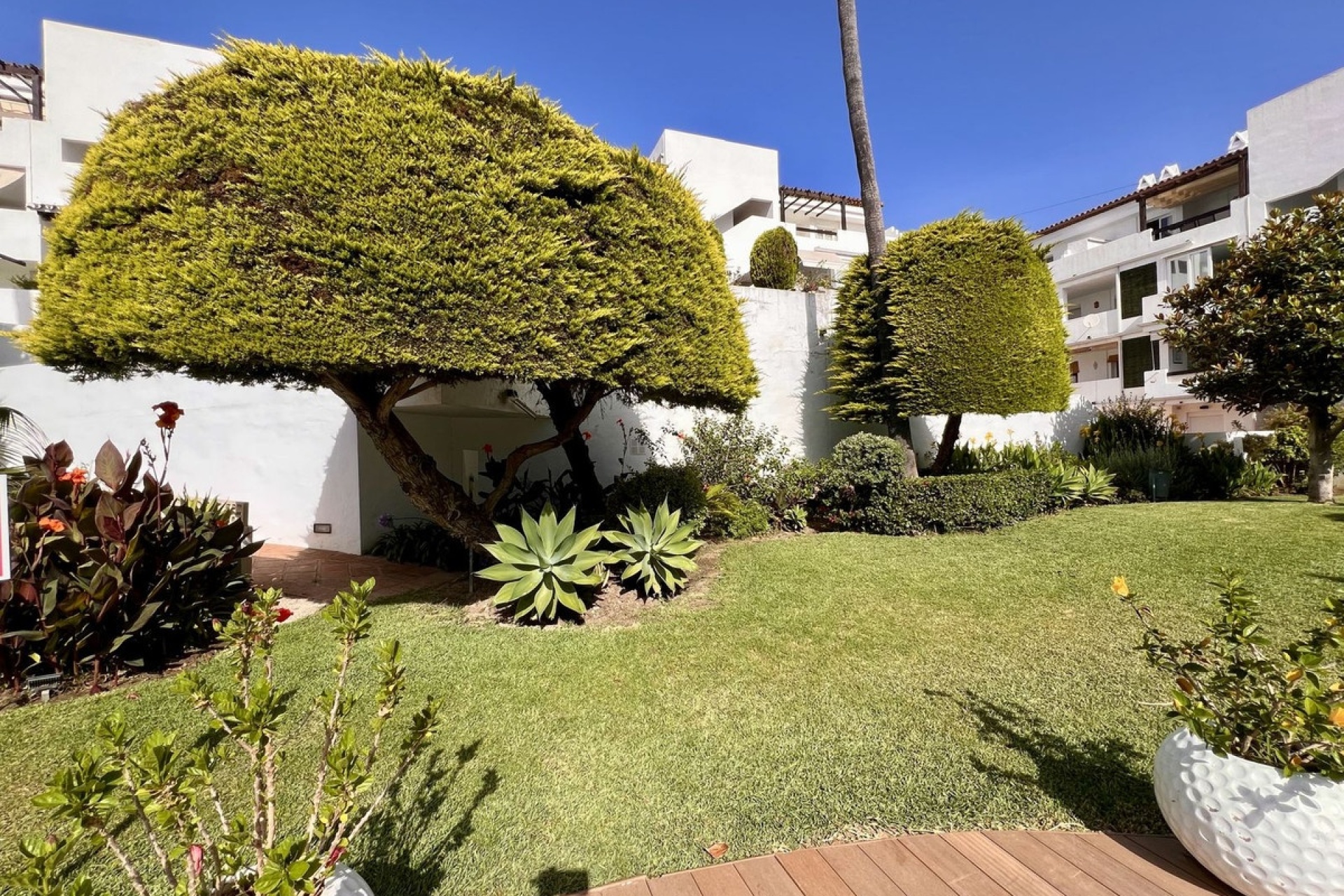 Wiederverkauf - apartment - Estepona - Estepona Centro