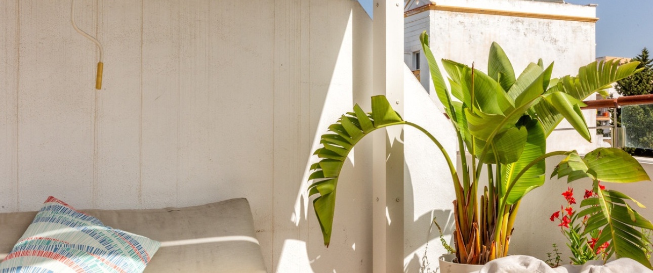 Wiederverkauf - apartment - Estepona - Estepona Centro