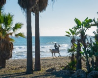 Wiederverkauf - apartment - Estepona - Estepona Centro