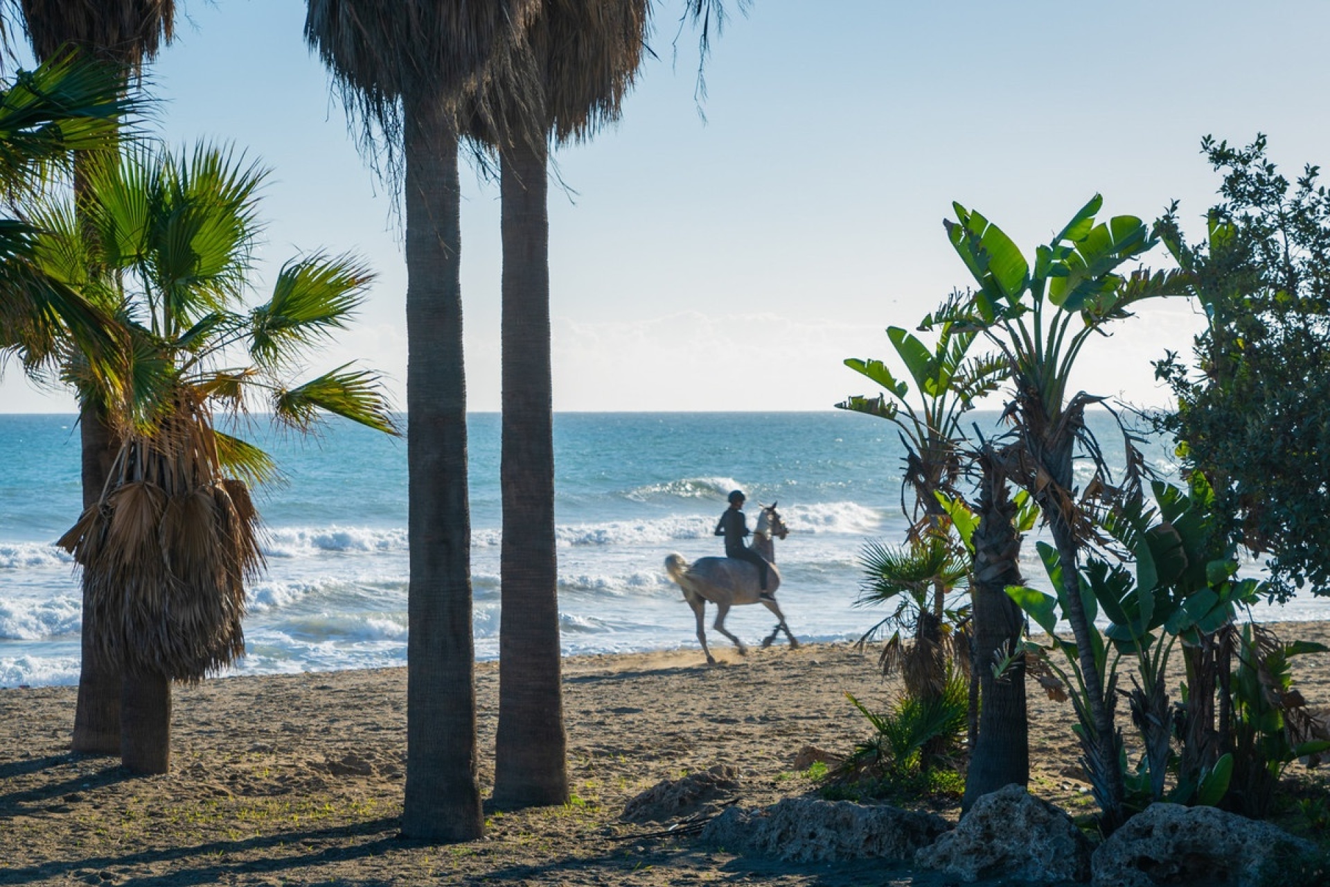 Wiederverkauf - apartment - Estepona - Estepona Centro