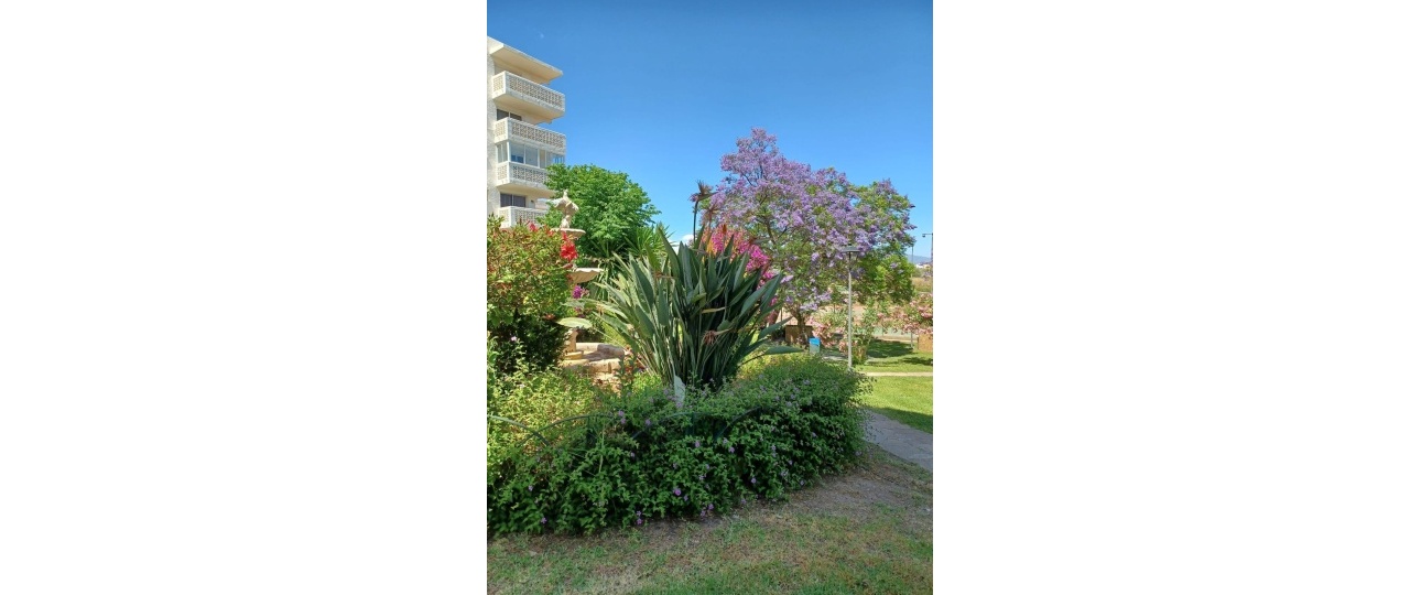 Wiederverkauf - apartment - Estepona - Estepona Centro