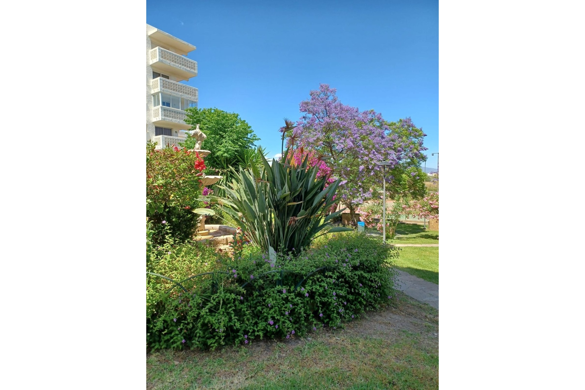 Wiederverkauf - apartment - Estepona - Estepona Centro