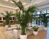 Wiederverkauf - apartment - Estepona - New Golden Mile