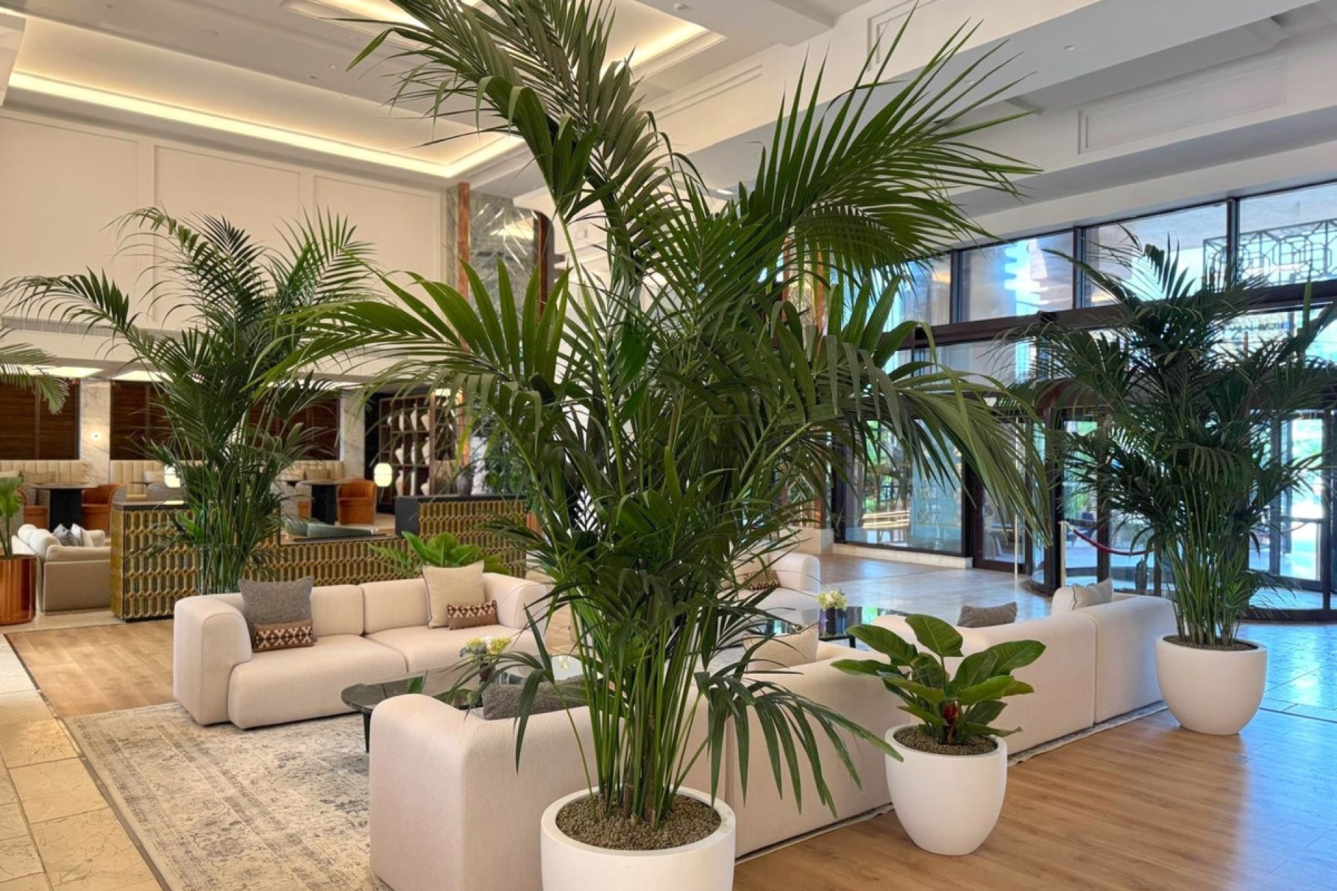 Wiederverkauf - apartment - Estepona - New Golden Mile