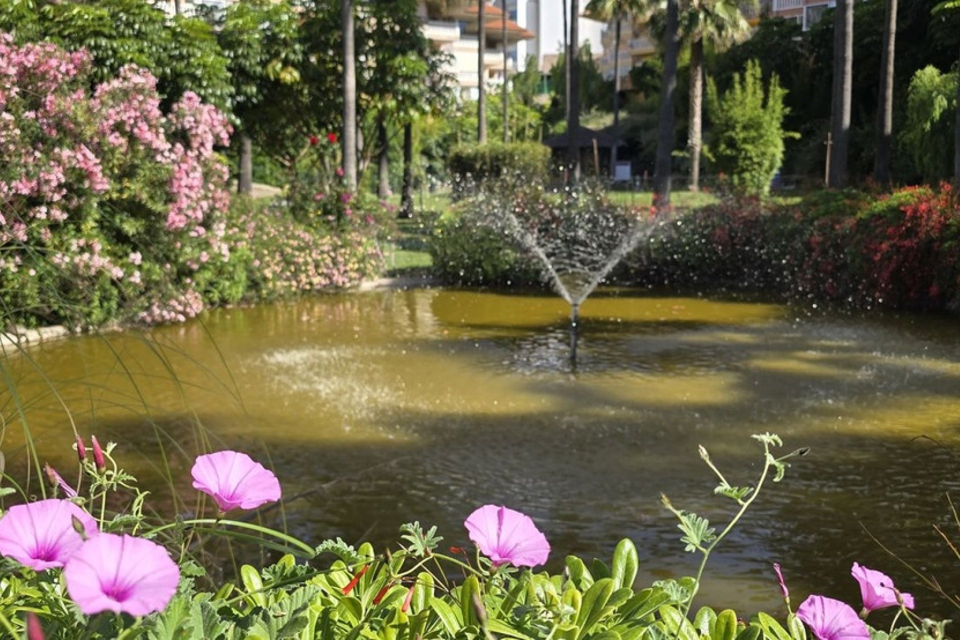 Wiederverkauf - apartment - Fuengirola - Higueron