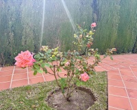 Wiederverkauf - apartment - Fuengirola - Torreblanca