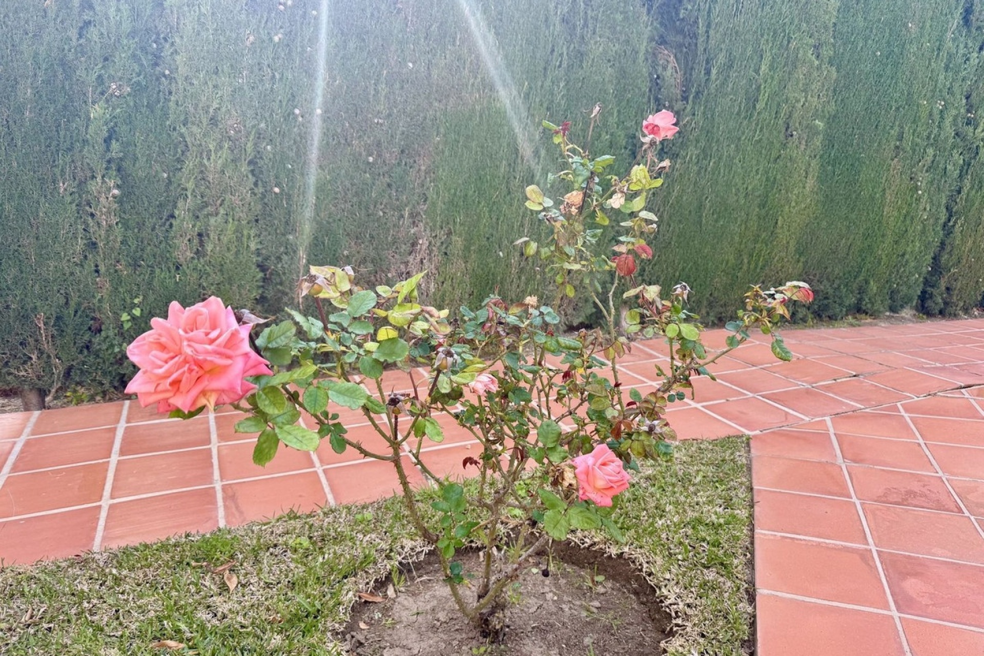 Wiederverkauf - apartment - Fuengirola - Torreblanca