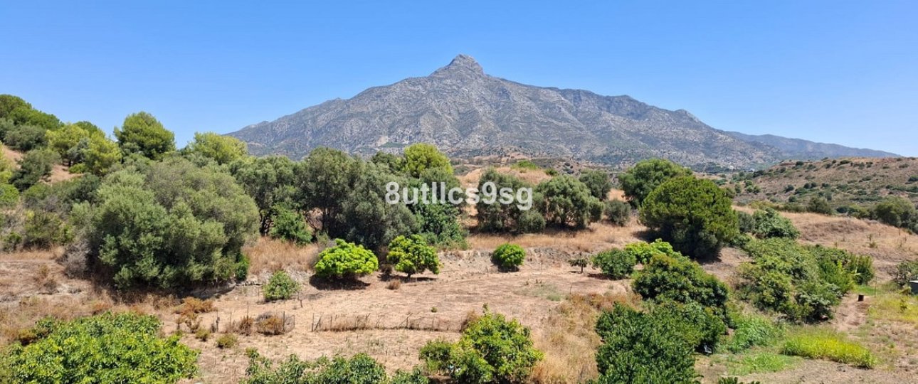 Wiederverkauf - apartment - Marbella - Aloha
