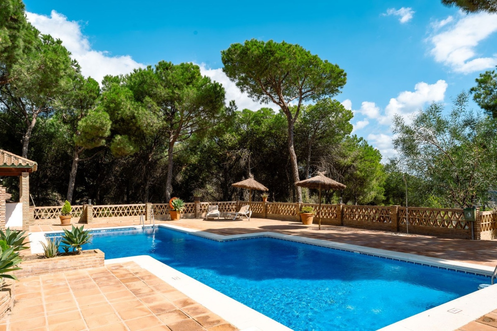 Wiederverkauf - apartment - Marbella - Aloha