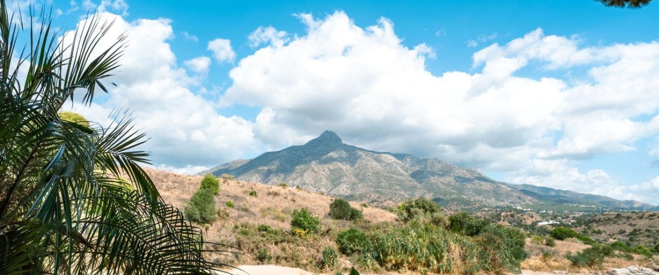 Wiederverkauf - apartment - Marbella - Aloha