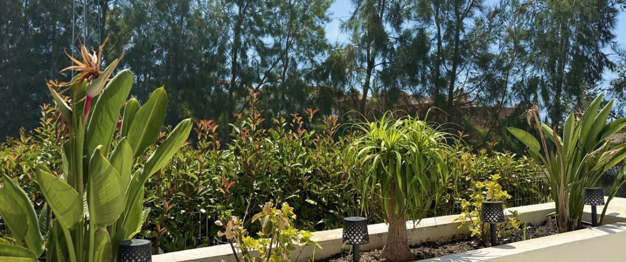 Wiederverkauf - apartment - Marbella - Cabopino