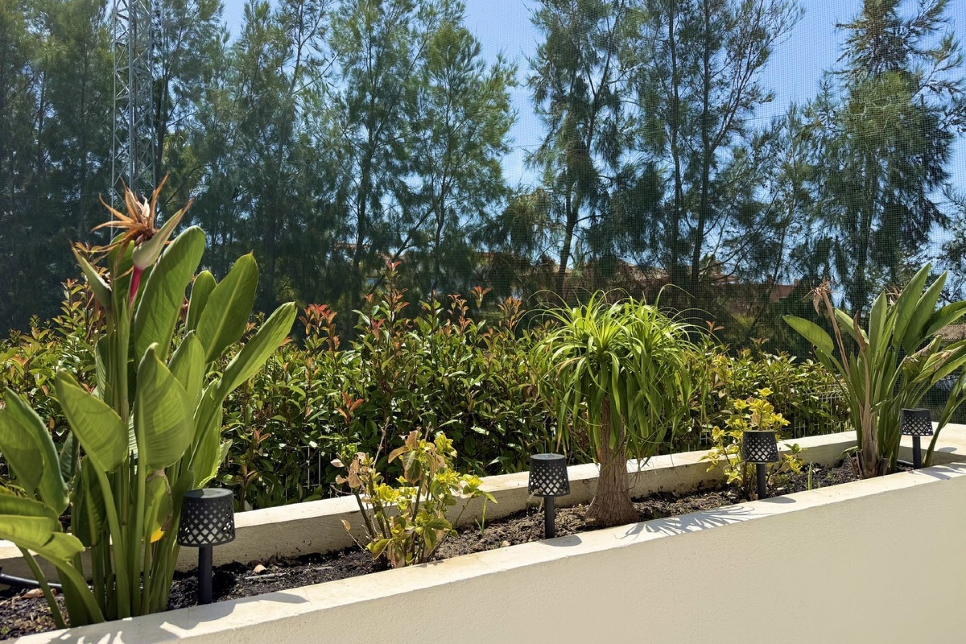Wiederverkauf - apartment - Marbella - Cabopino