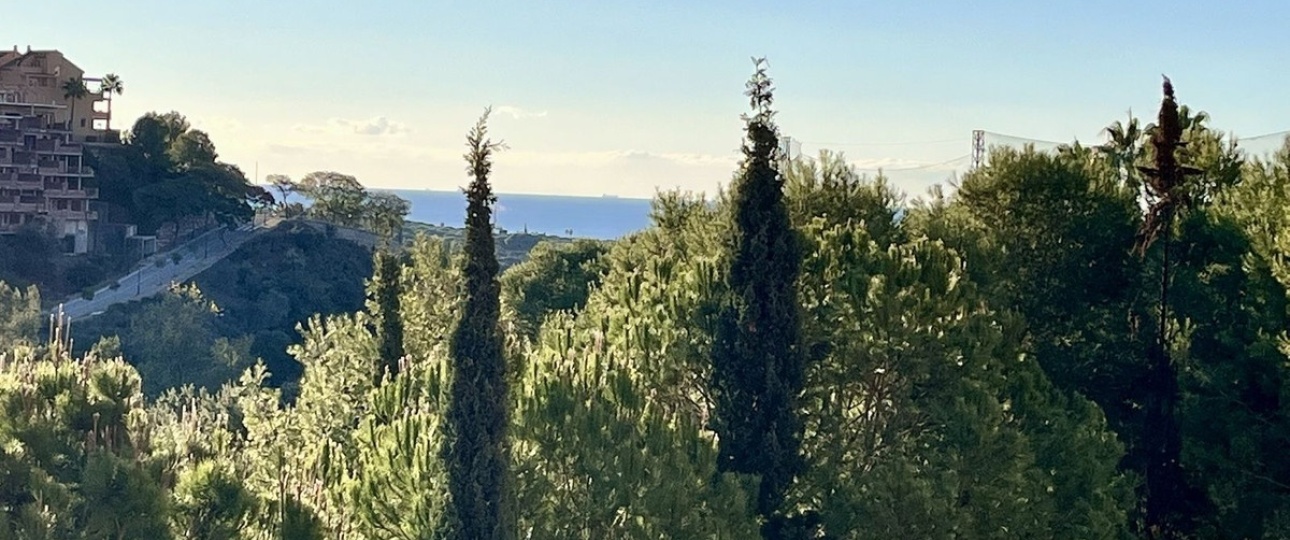 Wiederverkauf - apartment - Marbella - Elviria