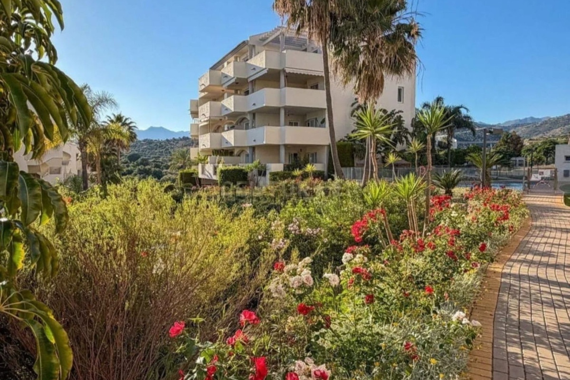 Wiederverkauf - apartment - Marbella - Elviria