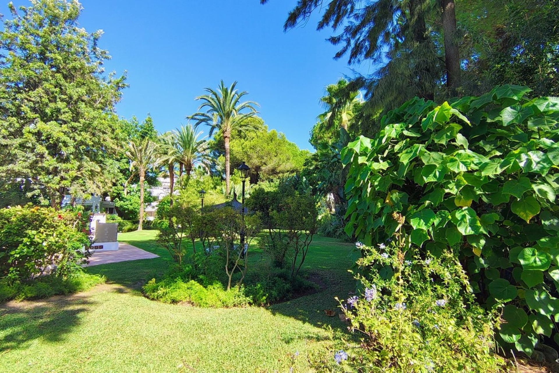 Wiederverkauf - apartment - Marbella - Guadalmina Baja