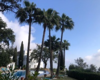 Wiederverkauf - apartment - Marbella - La Mairena