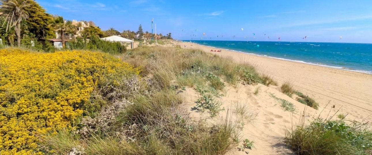 Wiederverkauf - apartment - Marbella - Los Monteros