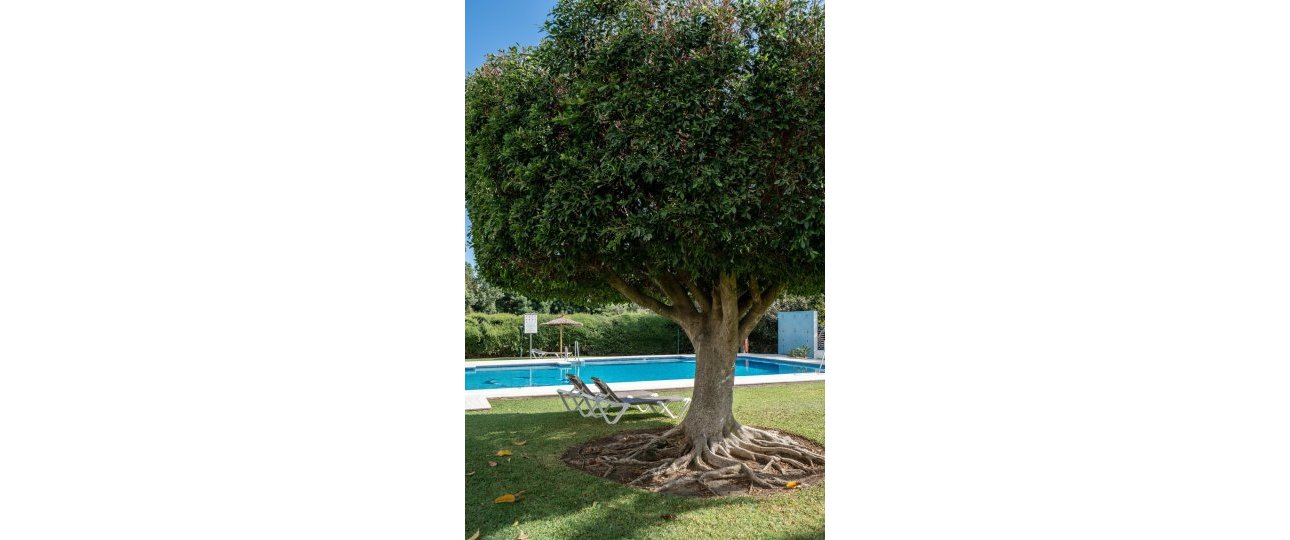 Wiederverkauf - apartment - Marbella - Marbella Centro