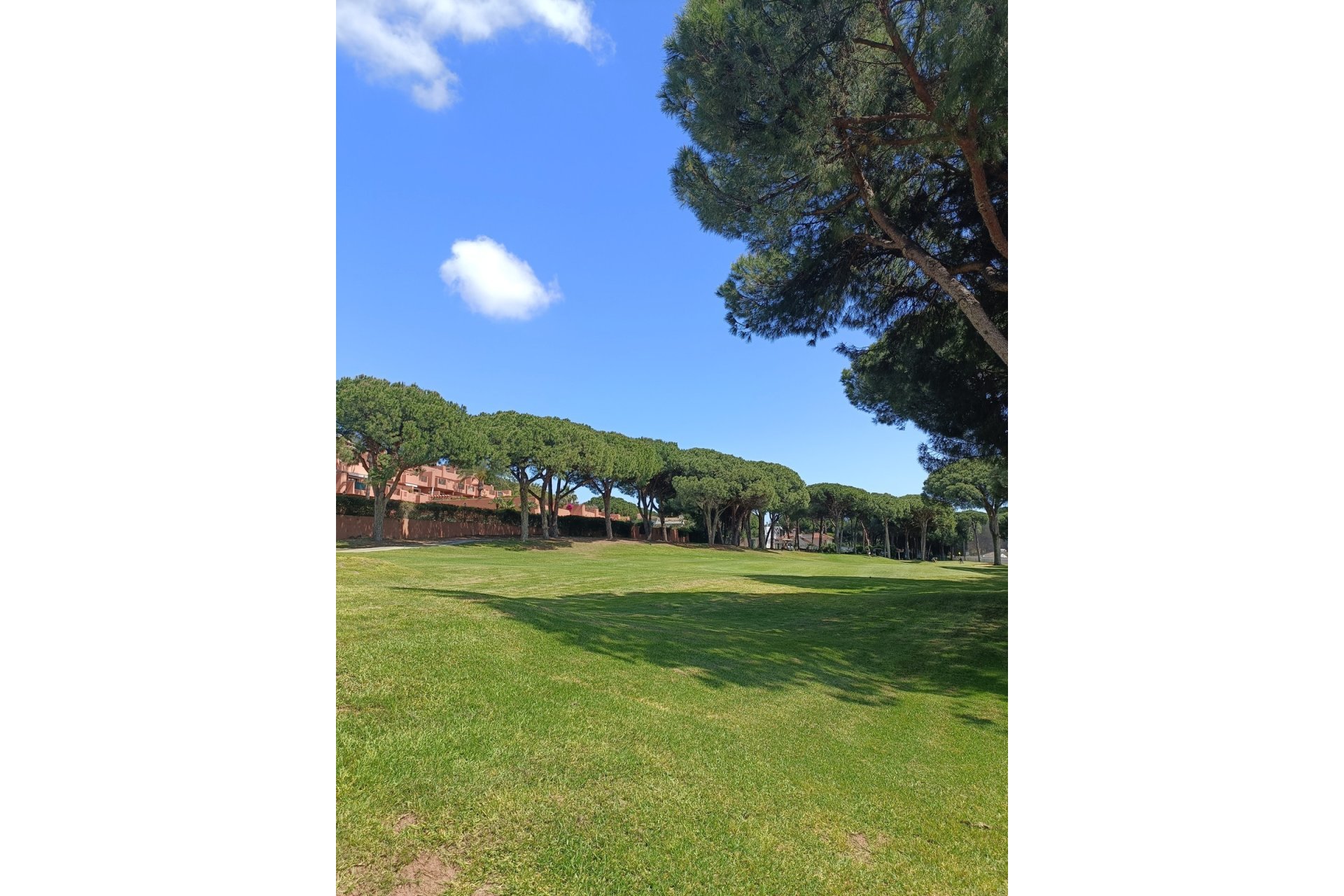 Wiederverkauf - apartment - Marbella - Marbella Centro