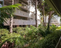 Wiederverkauf - apartment - Marbella - Marbella Centro