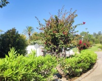 Wiederverkauf - apartment - Marbella - Marbella Centro