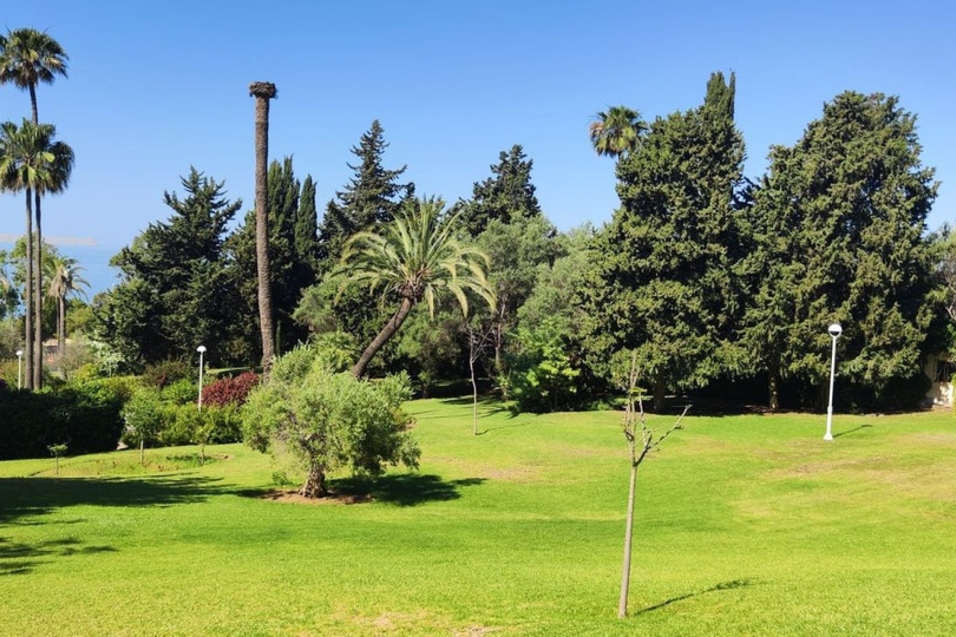 Wiederverkauf - apartment - Marbella - Marbella Centro