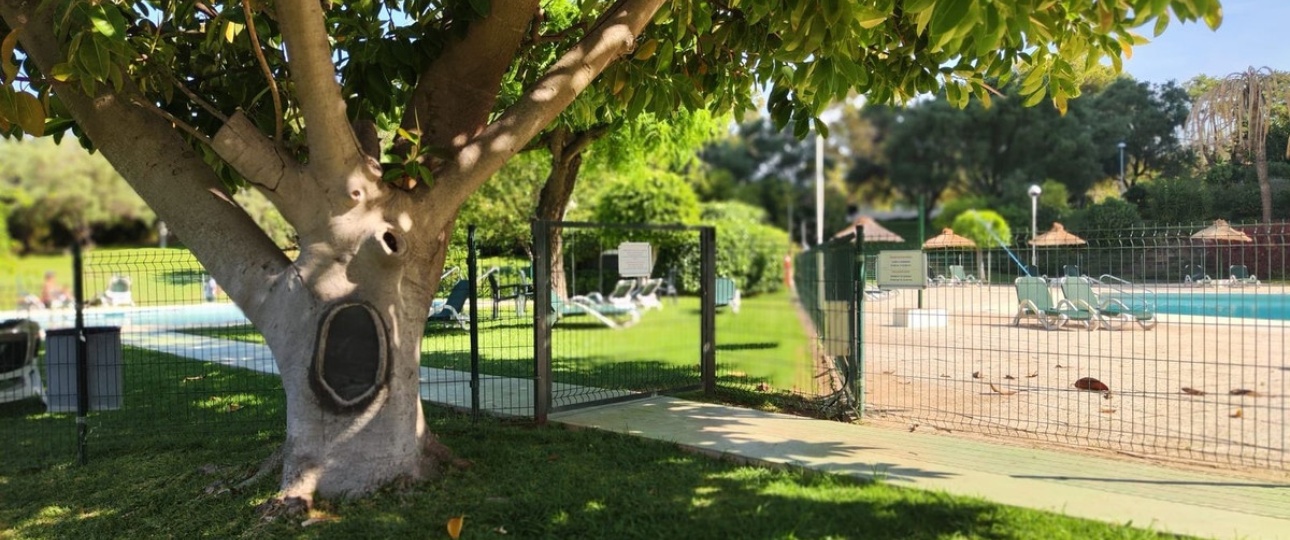 Wiederverkauf - apartment - Marbella - Marbella Centro