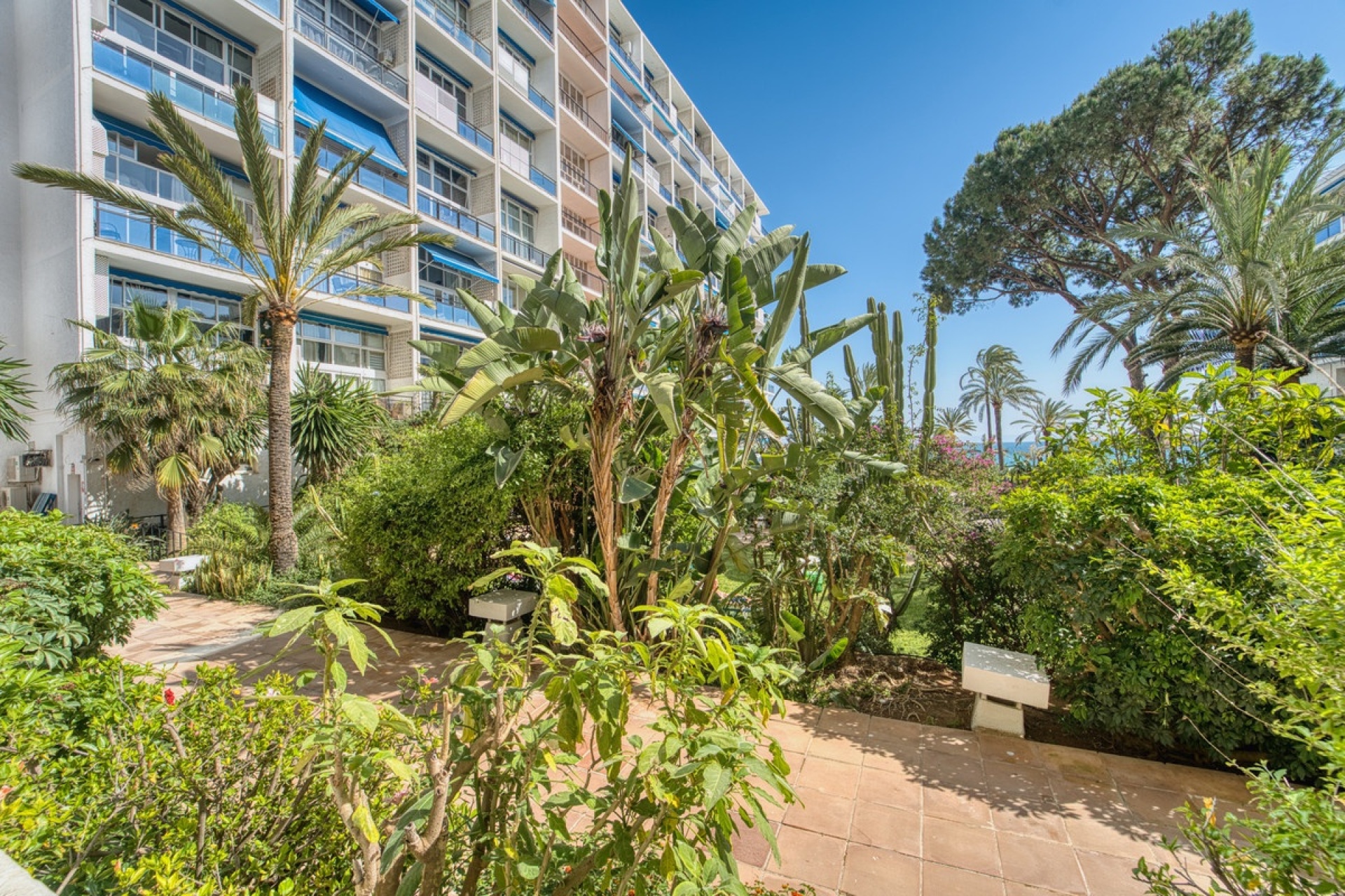 Wiederverkauf - apartment - Marbella - Marbella Centro