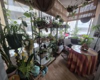 Wiederverkauf - apartment - Marbella - Marbella Centro