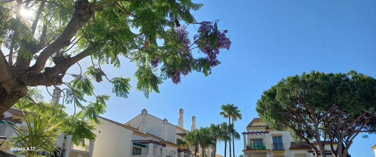 Wiederverkauf - apartment - Marbella - Marbesa