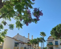 Wiederverkauf - apartment - Marbella - Marbesa