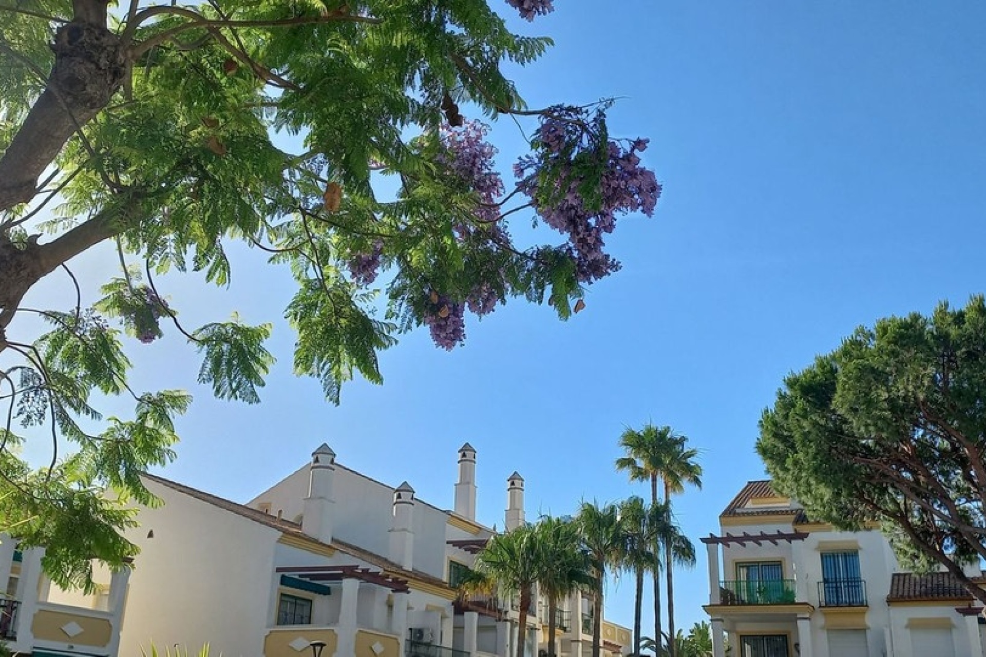 Wiederverkauf - apartment - Marbella - Marbesa