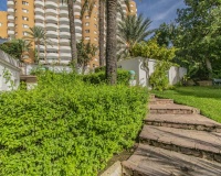Wiederverkauf - apartment - Marbella - Marbesa