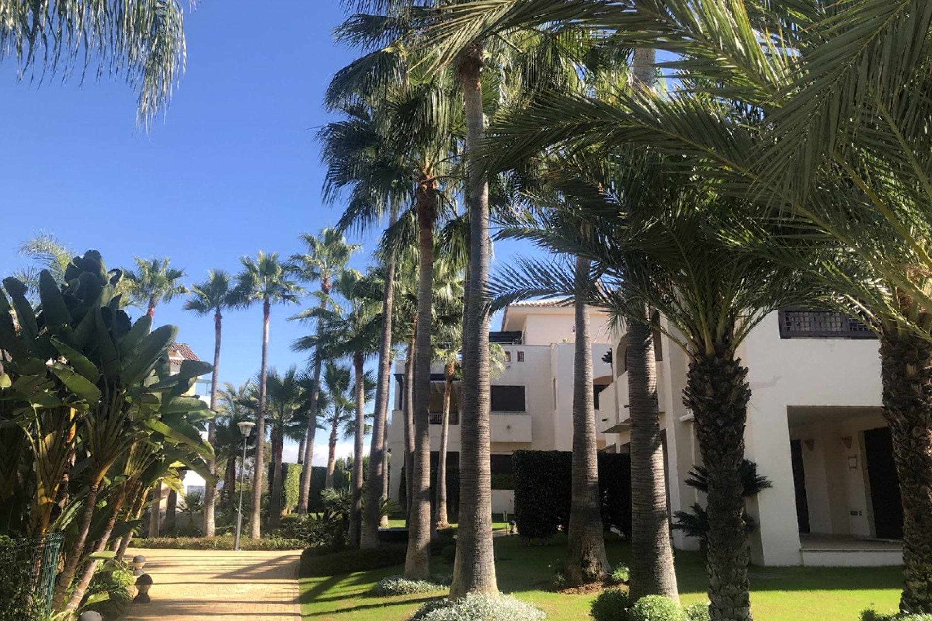 Wiederverkauf - apartment - Marbella - Nueva Andalucía